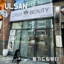 세븐일레븐 울산신정드림점 | 울산 신정동 미소지움 피부관리 맛집 올가드림뷰티