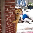 어서타개 이미지