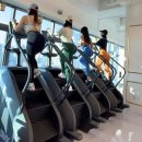 프로 짐 이미지