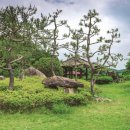 완도 고금도 지석묘군 이미지