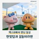 문화가 있는날 하우스콘서트 4 | 대전 엑스포에서 만난 동심｜꿈돌이하우스 2호점 후기 그리고 임영웅 콘서트