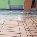 안동초등학교 이미지