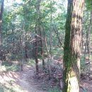 숙의홍씨 묘역 이미지