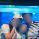 미디어 놀이터로 고고 이미지