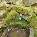 빛고을한방병원 이미지