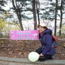운중로 Daum카페