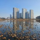 한쇼우스시본점