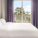 코델리아호텔 이미지