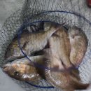 서울바다낚시터 이미지