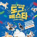도그라니 이미지