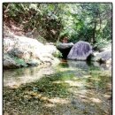 백운산장식당 이미지