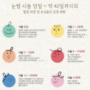 4.15뷰티(beauty) | 눈썹문신한 지 두달 후 후기 / 반영구 눈썹 관리 방법 / 계양구 반영구눈썹 추천 [4.15 뷰티]
