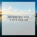 렌탈콕