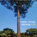 예쁜 이미지 샆 이미지