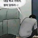 덱스마학원 | 백수된 후기