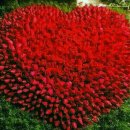 더나은PC 이미지