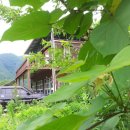 속리산민박 이미지