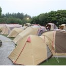 애견가족 이미지