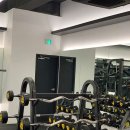 머슬메카 이미지