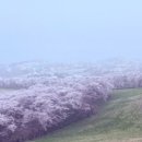 문수목장 이미지