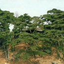 호계천변 이미지