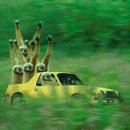 오늘의 쿡 이미지