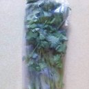 터미널마트 이미지