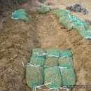 종구농장 이미지