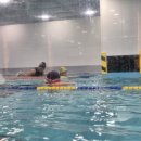 아이엠 키즈 스윔스쿨 이미지