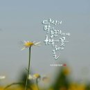 믿음 - 안산시 단원구 신촌5길 31 | 믿음