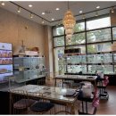 강아지와 고양이 이미지