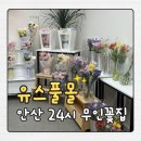 24시몰