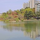 건국대학교 Daum카페