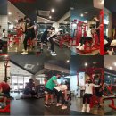 고포잇짐 이미지