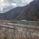 망덕산 입구 티스토리