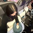 더이코노미 | SAS항공 코펜하겐 경유 SK988 SK987 이코노미 프리미엄 라운지 후기
