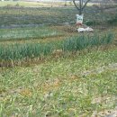 땅대박공인중개사사무소 이미지