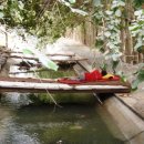 카레즈