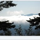 소백산자연휴양림 이미지