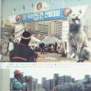 광경