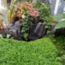 진맥잘보는한의원 이미지