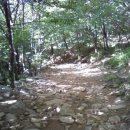 대천공원3호 이미지