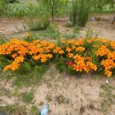 한길농장 이미지