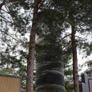 삼막사 삼귀자 | 안양 삼성산 삼막사 등산코스, 소요시간, 삼막사 마애삼존불, 삼층석탑, 삼막산 삼귀자