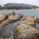 용화목장 이미지