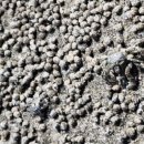 너한쌈나한쌈 이미지