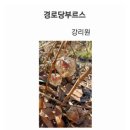 추상경로당 오마이뉴스