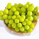 부자농장1 이미지