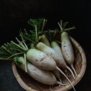 시메사바 순 이미지