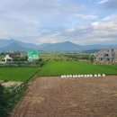 자작도조은민박 이미지